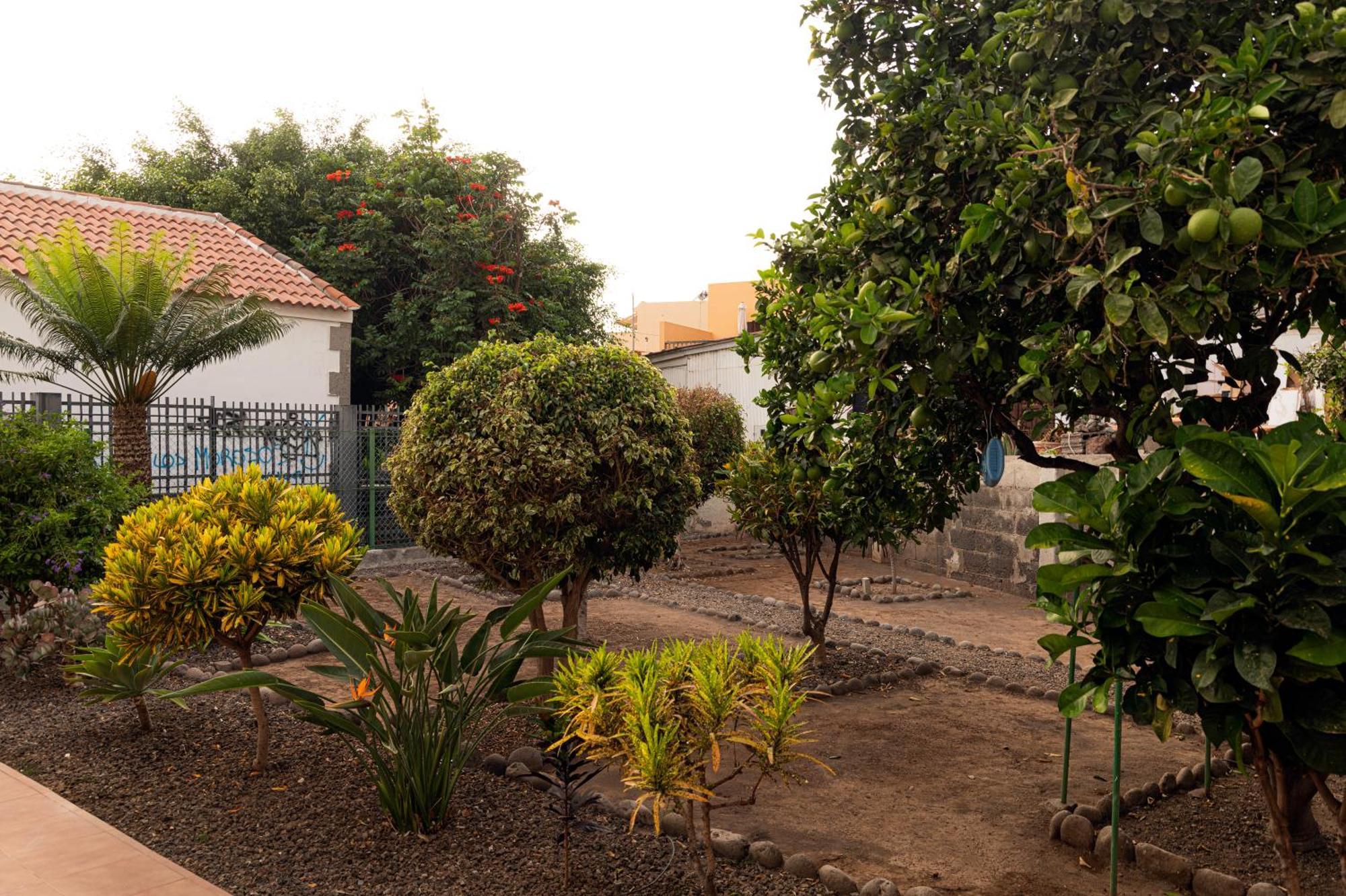 Apartamento Isdan Valle Gran Rey Dış mekan fotoğraf